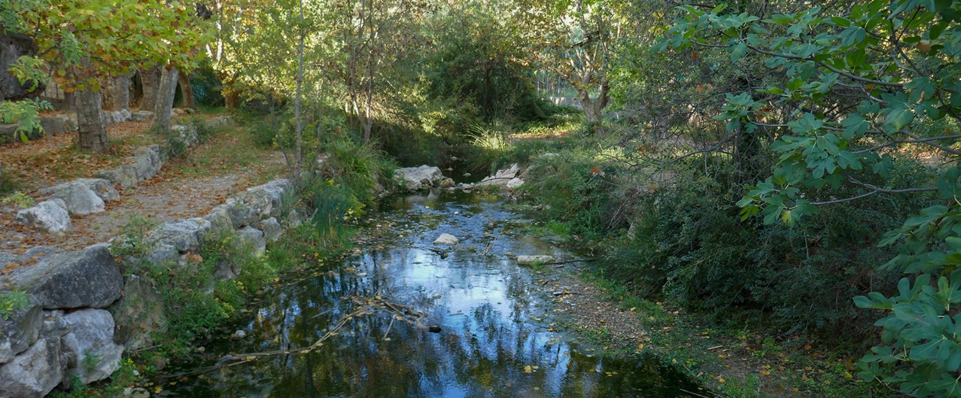 Mediona